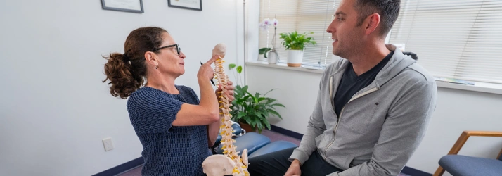 A person in a clinical office holds a full‑size spine model