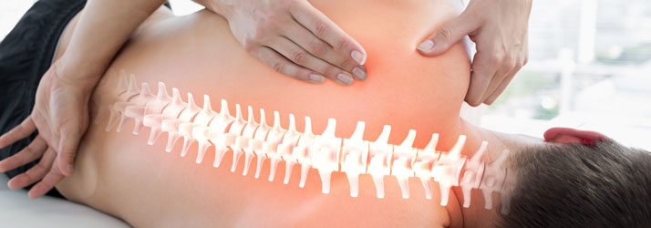 Scoliosis Screening: Why Early Detection Matters in Shorewood WI